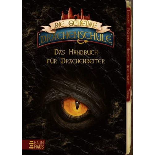 Emily Skye - Die geheime Drachenschule - Das Handbuch für Drachenreiter