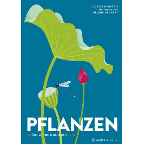 Hélène Druvert Juliette Einhorn - Pflanzen