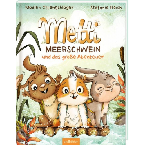 Madlen Ottenschläger - Metti Meerschwein und das große Abenteuer