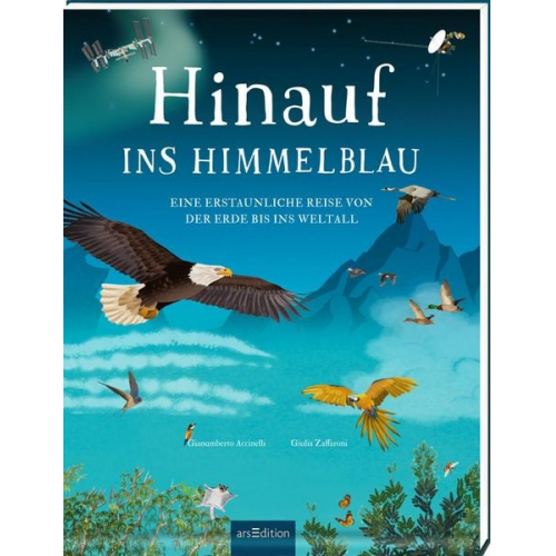 Gianumberto Accinelli - Hinauf ins Himmelblau