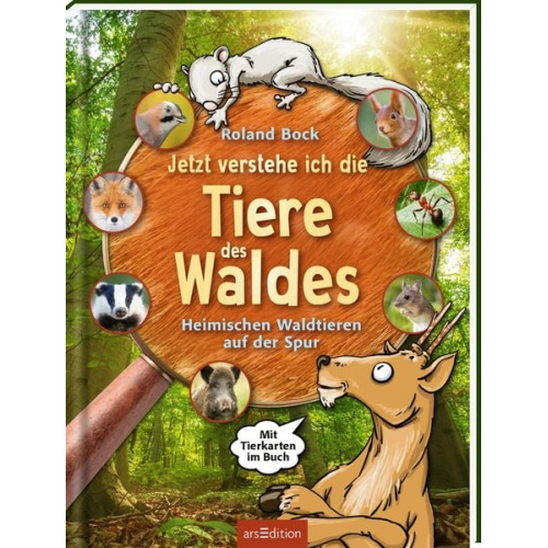 Roland Bock - Jetzt verstehe ich die Tiere des Waldes