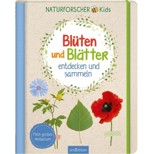 Anna Linstadt - Naturforscher-Kids – Blüten und Blätter entdecken und sammeln