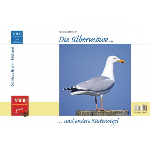 Ulrich Kattmann - Die Silbermöwe und andere Küstenvögel