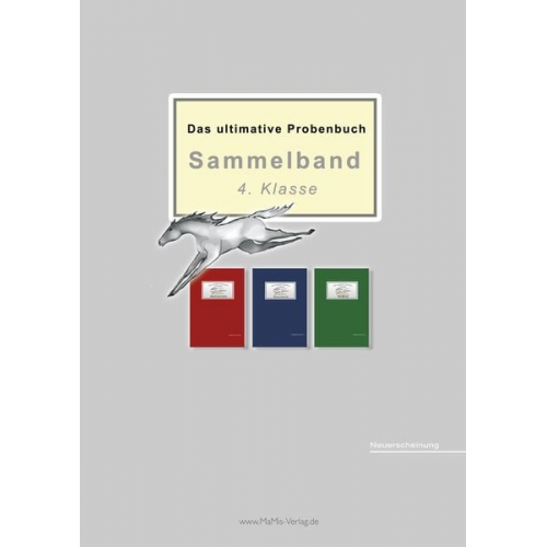 Miriam Reichel Mandana Mandl - Das ultimative Probenbuch Sammelband 4. Klasse