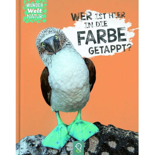 Bobby Kastenhuber - Wer ist hier in die Farbe getappt?