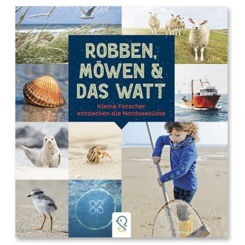 Robben, Möwen & das Watt