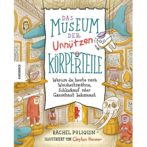 Rachel Poliquin - Das Museum der unnützen Körperteile