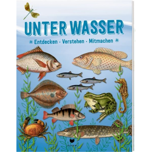 Unter Wasser