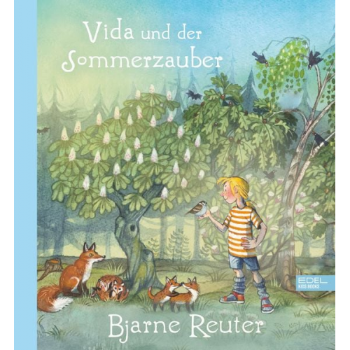 Bjarne Reuter - Vida und der Sommerzauber