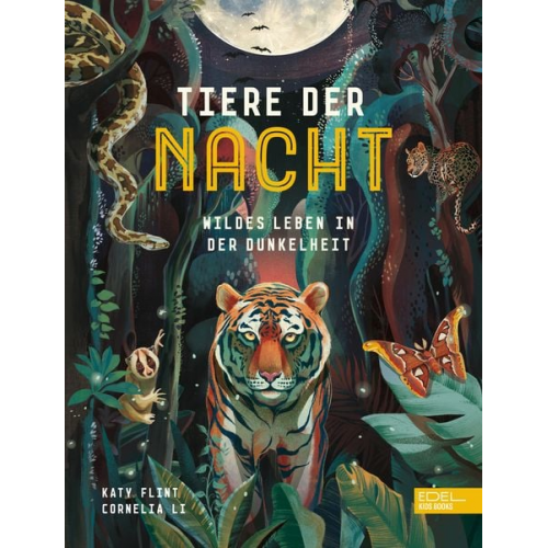 Katy Flint - Tiere der Nacht – Wildes Leben in der Dunkelheit