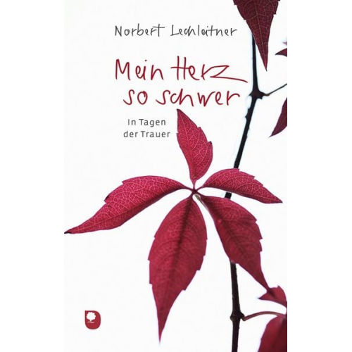 Norbert Lechleitner - Mein Herz so schwer