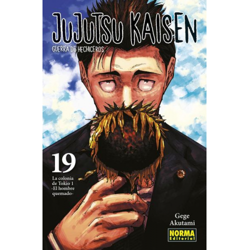 Jujutsu Kaisen 19