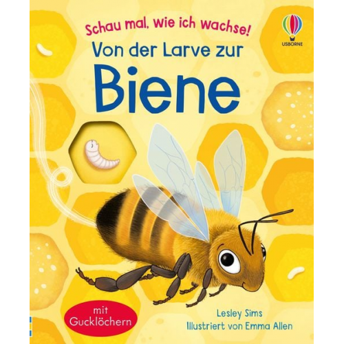 Schau mal, wie ich wachse! Von der Larve zur Biene