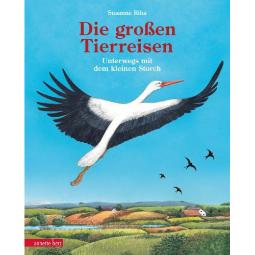 Susanne Riha - Die großen Tierreisen - Unterwegs mit dem kleinen Storch: für alle Entdeckerinnen und Entdecker: besondere Tiere, weite Reisen und spannende Karten