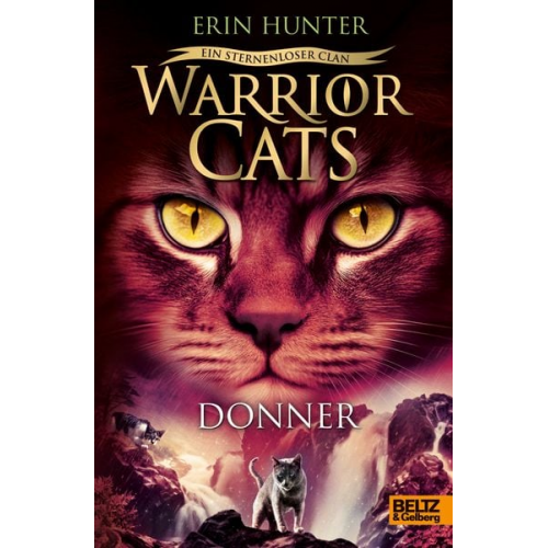 Erin Hunter - Warrior Cats - Ein sternenloser Clan. Donner