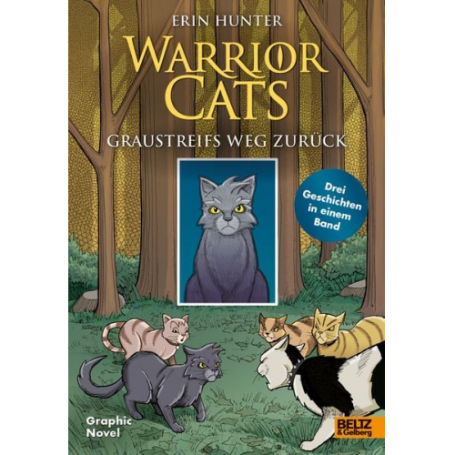 Erin Hunter Dan Jolley - Warrior Cats - Graustreifs Weg zurück