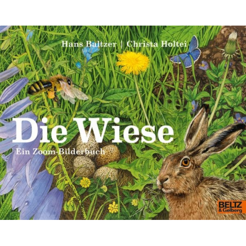 Hans Baltzer Christa Holtei - Die Wiese