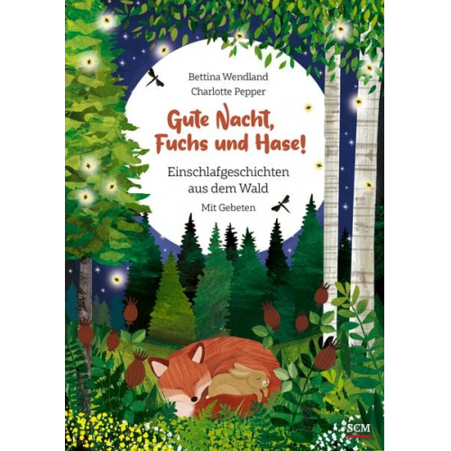 Bettina Wendland - Gute Nacht, Fuchs und Hase!