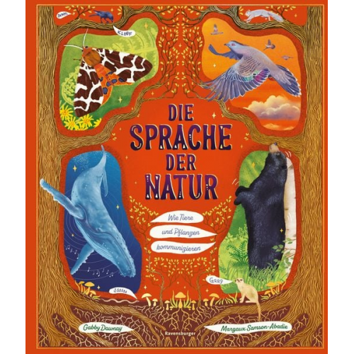 Gabby Dawnay - Sachbuch Tiere und Pflanzen für Kinder ab 4 Jahre: Die Sprache der Natur - 48 za