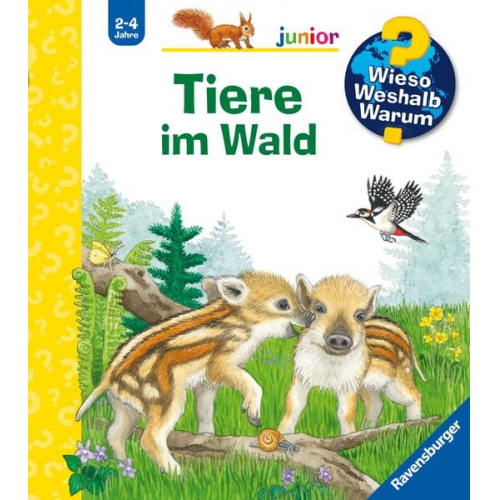 Patricia Mennen - Wieso? Weshalb? Warum? junior, Band 77 - Tiere im Wald