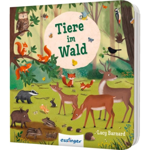 Sibylle Schumann - Mein erstes Natur-Wimmelbuch: Tiere im Wald – Mini-Ausgabe