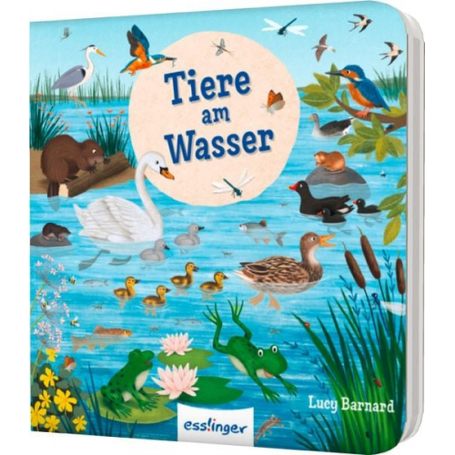 Sibylle Schumann - Mein erstes Natur-Wimmelbuch: Tiere am Wasser – Mini-Ausgabe