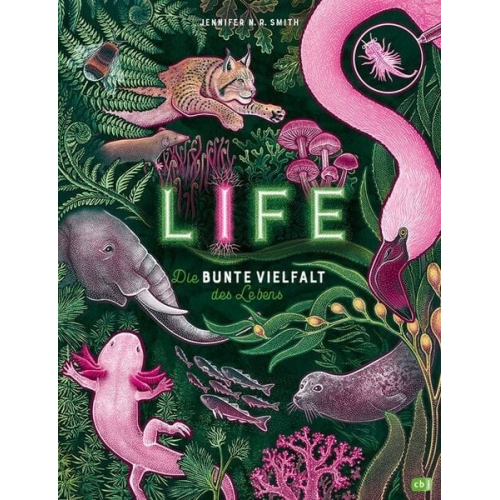 Jennifer N.R. Smith - LIFE – Die bunte Vielfalt des Lebens