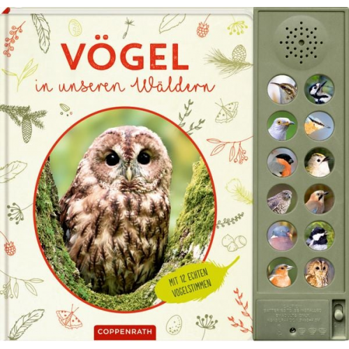 Holger Haag - Vögel in unseren Wäldern - Nature Zoom (Soundbuch)