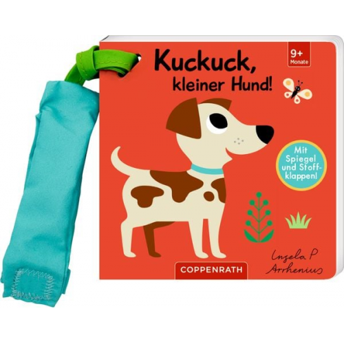 Mein Filz-Fühlbuch f.d.Buggy: Kuckuck, kl. Hund! (Fühl.&be.)