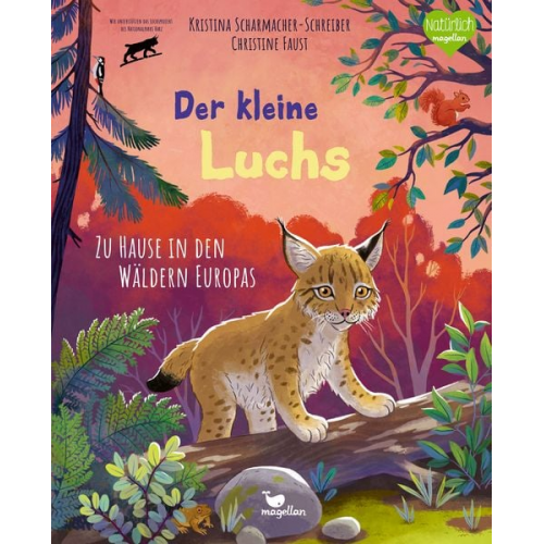 Kristina Scharmacher-Schreiber - Der kleine Luchs - Zu Hause in den Wäldern Europas