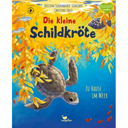 Kristina Scharmacher-Schreiber - Die kleine Schildkröte - Zu Hause im Meer