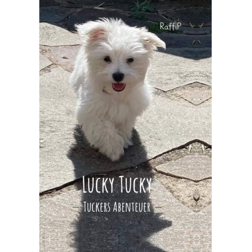 RaffiP - Lucky Tucky