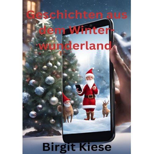 Birgit Kiese - Geschichten aus dem Winterwunderland