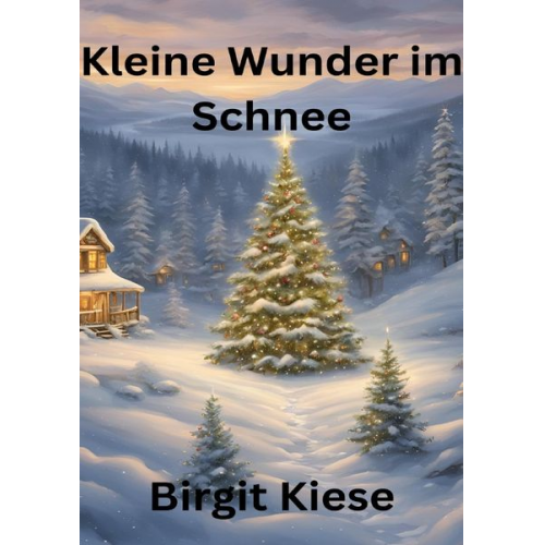 Birgit Kiese - Keine Wunder im Schnee