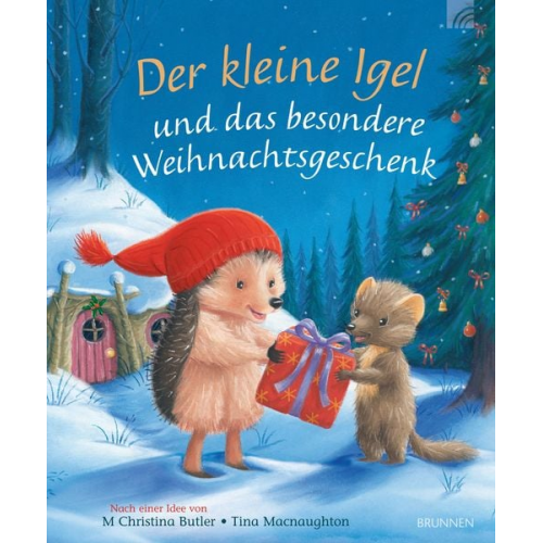 M. Christina Butler - Der kleine Igel und das besondere Weihnachtsgeschenk