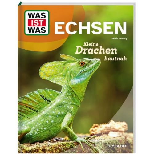 Mario Ludwig - WAS IST WAS Echsen. Kleine Drachen hautnah