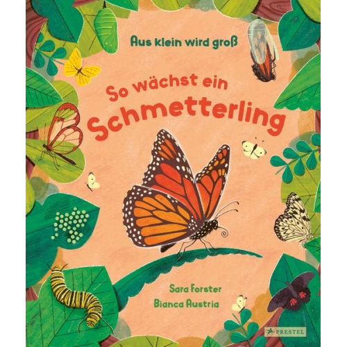 Sara Forster Bianca Austria - Aus klein wird groß. So wächst ein Schmetterling