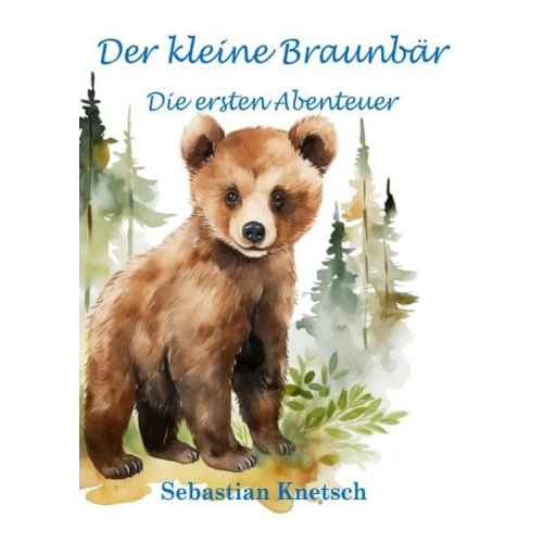 Sebastian Knetsch - Der kleine Braunbär