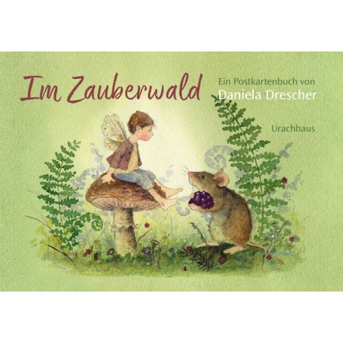 Daniela Drescher - Postkartenbuch »Im Zauberwald«