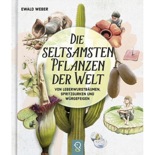 Ewald Weber - Die seltsamsten Pflanzen der Welt