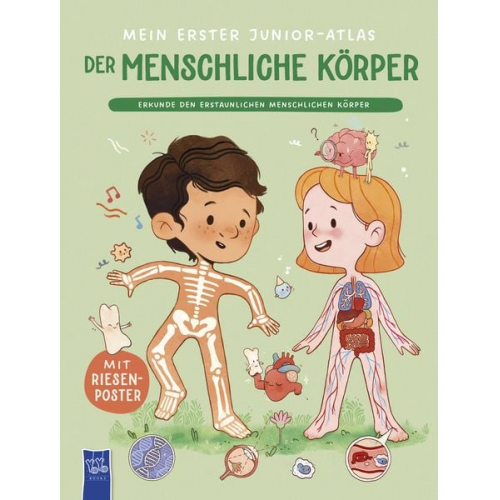 37748 - Mein erster Junior-Atlas: Der menschliche Körper