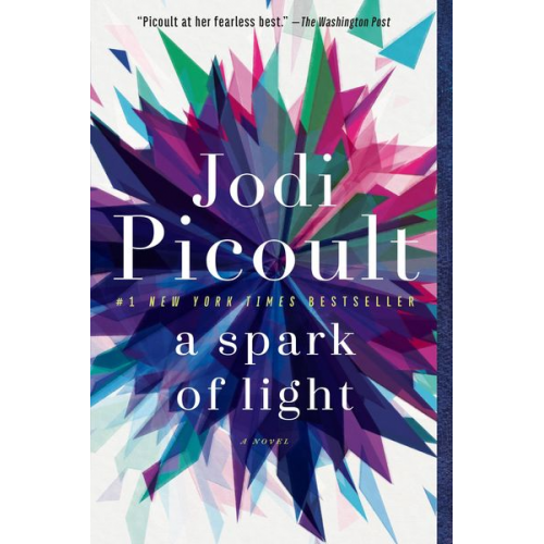 Jodi Picoult - A Spark of Light