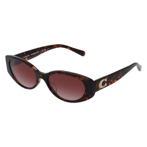 Coach HC8353U Damen-Sonnenbrille Vollrand Butterfly Acetat-Gestell, Havanna