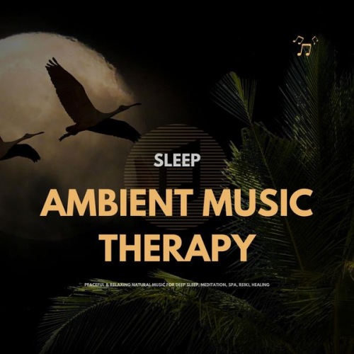 The Sleep Sounds Academy - SLEEP: Ambient Music Therapy