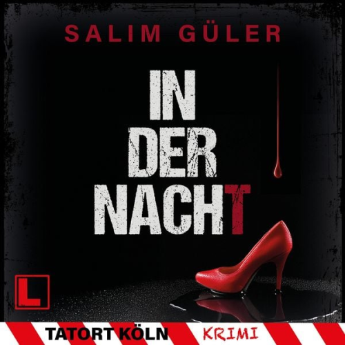 Salim Güler - In der Nacht