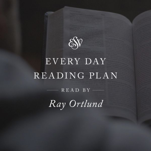 Crossway Books - ESV Audio Bible, Every Day Reading Plan, Read by Ray Ortlund