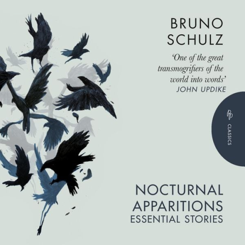 Bruno Schulz - Nocturnal Apparitions