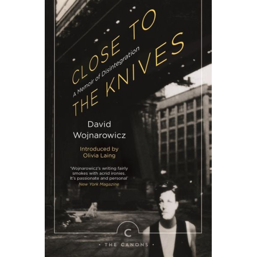 David Wojnarowicz - Close to the Knives