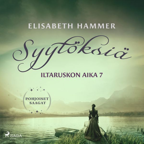 Elisabeth Hammer - Syytöksiä