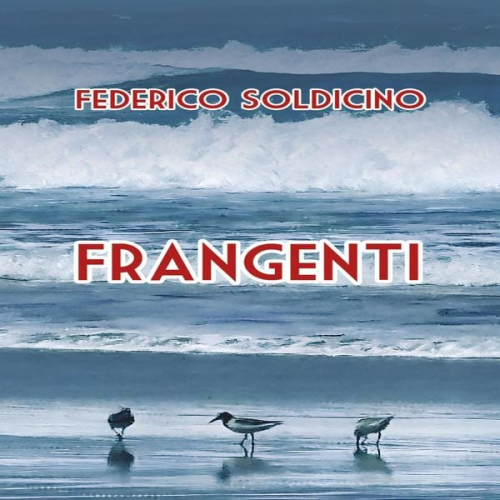 Federico Soldicino - Frangenti